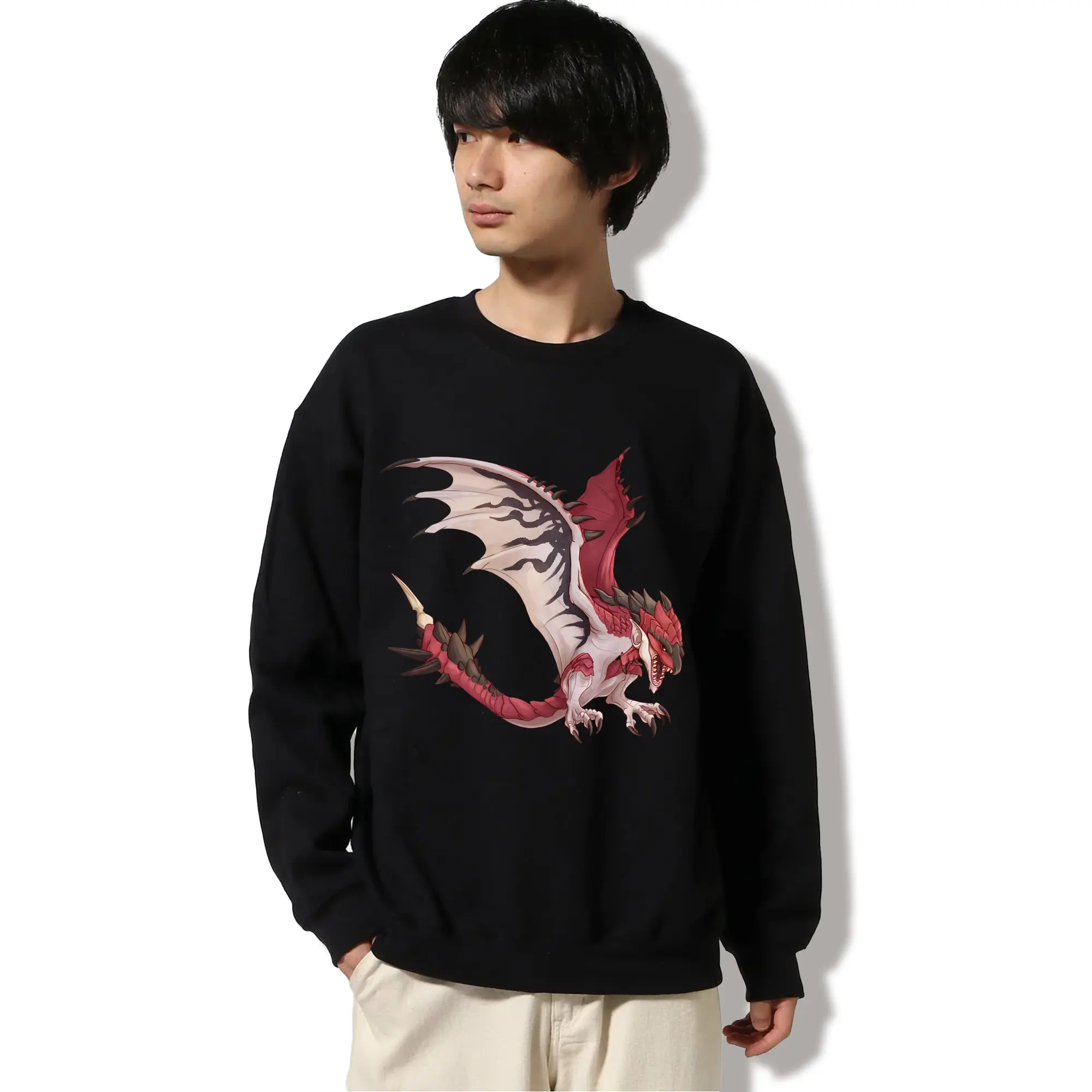 モンハン伝説モンスター リオレウス グラフィック